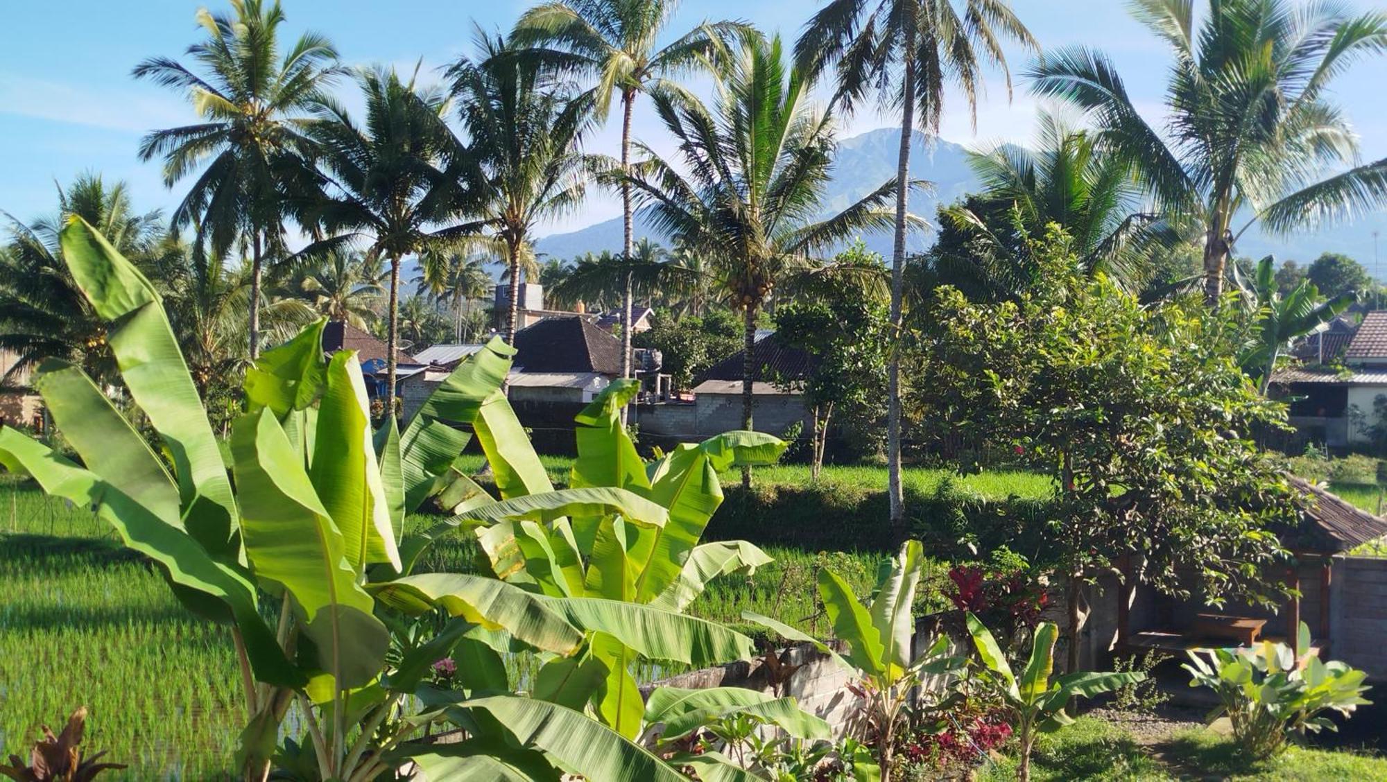 Arista Homestay Tetebatu Eksteriør billede